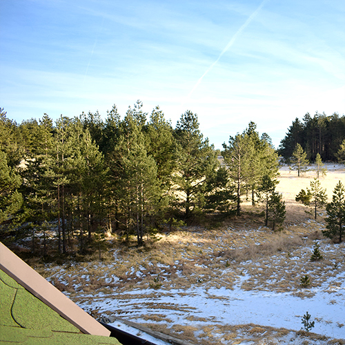 Divcibare Vila Premijer